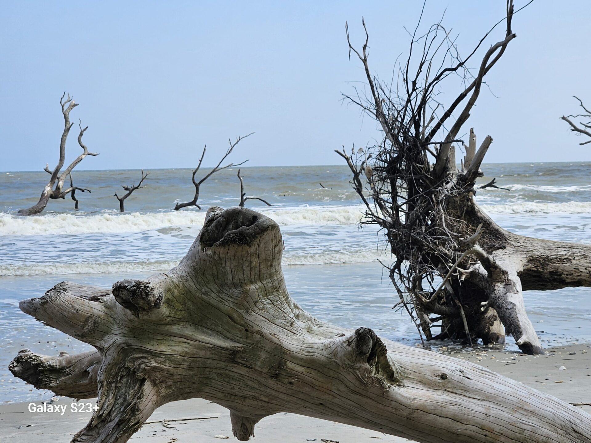 A Road Trip to Botany Bay Beach: Exploring the Lowcountry